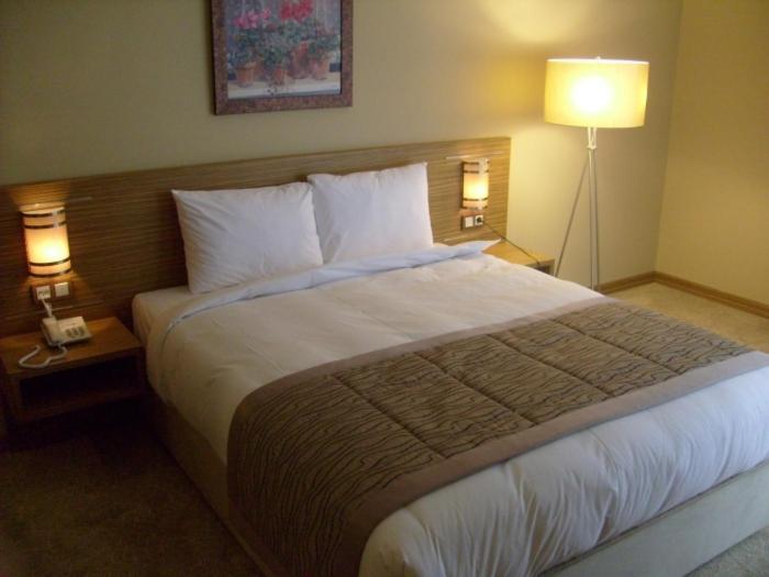 Hotel Almina Park Duzce Rom bilde